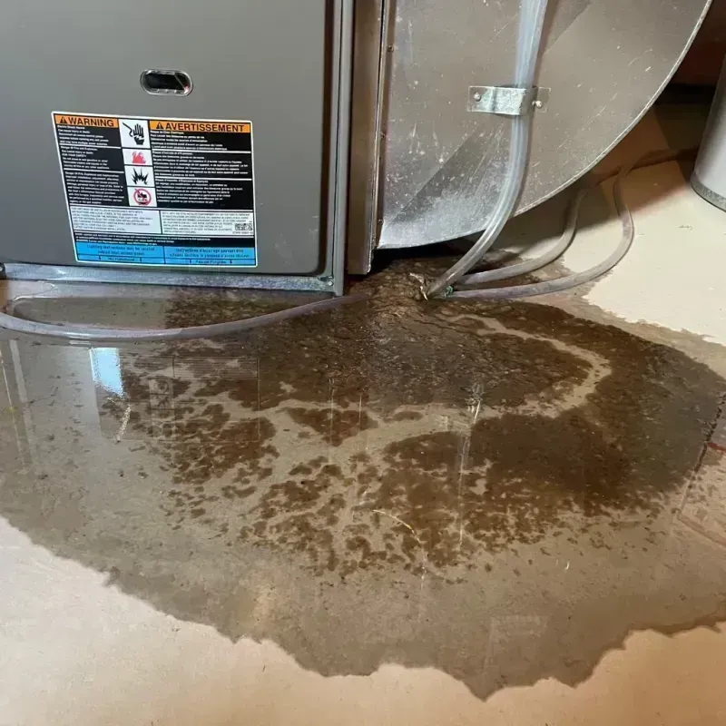 Appliance Leak Cleanup in Bourbon, MO